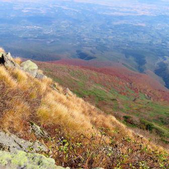岩木山から、山の中腹の紅葉