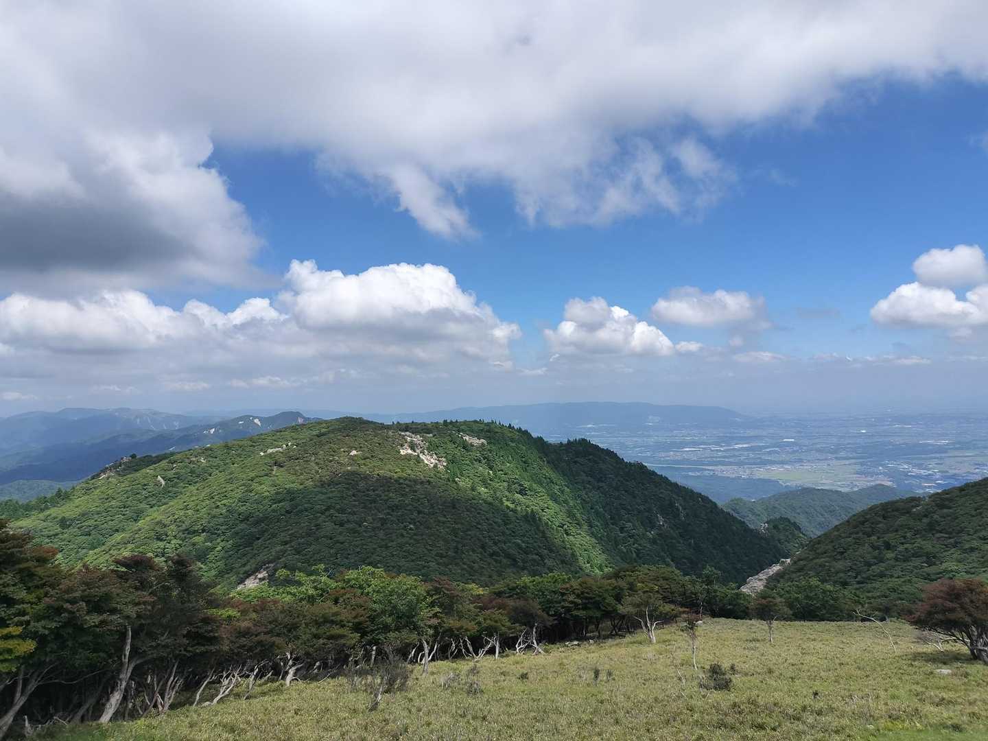 🍃座って涼みました。