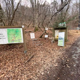 登山口まで下山しました❗️🖐️😊