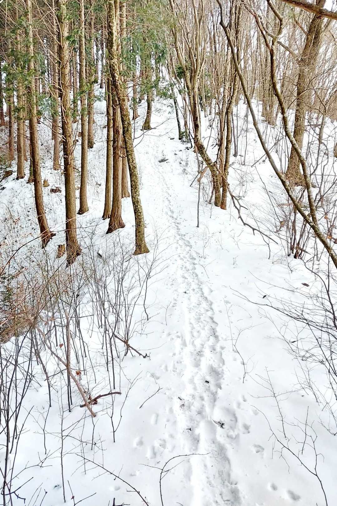 ひたすら雪道歩きが続く