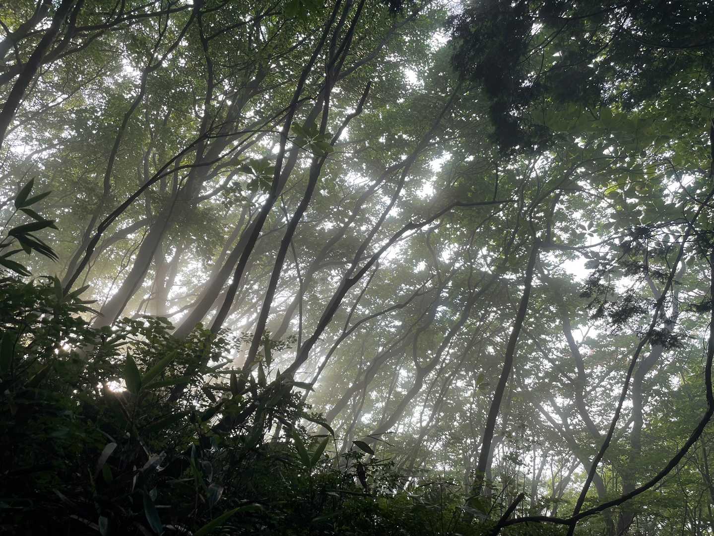 明るくなったり少し暗くなったり

暑いはずなのに心地よい空気感💕