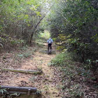 階段登って