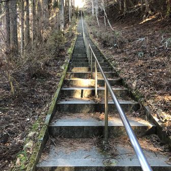 ずーーーっと階段です。