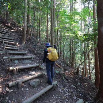 結構斜度あり
山の傾斜が28度位らしく、少し荷物増やしたら、結構堪える