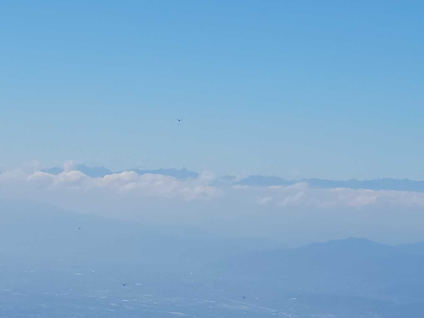槍‼️