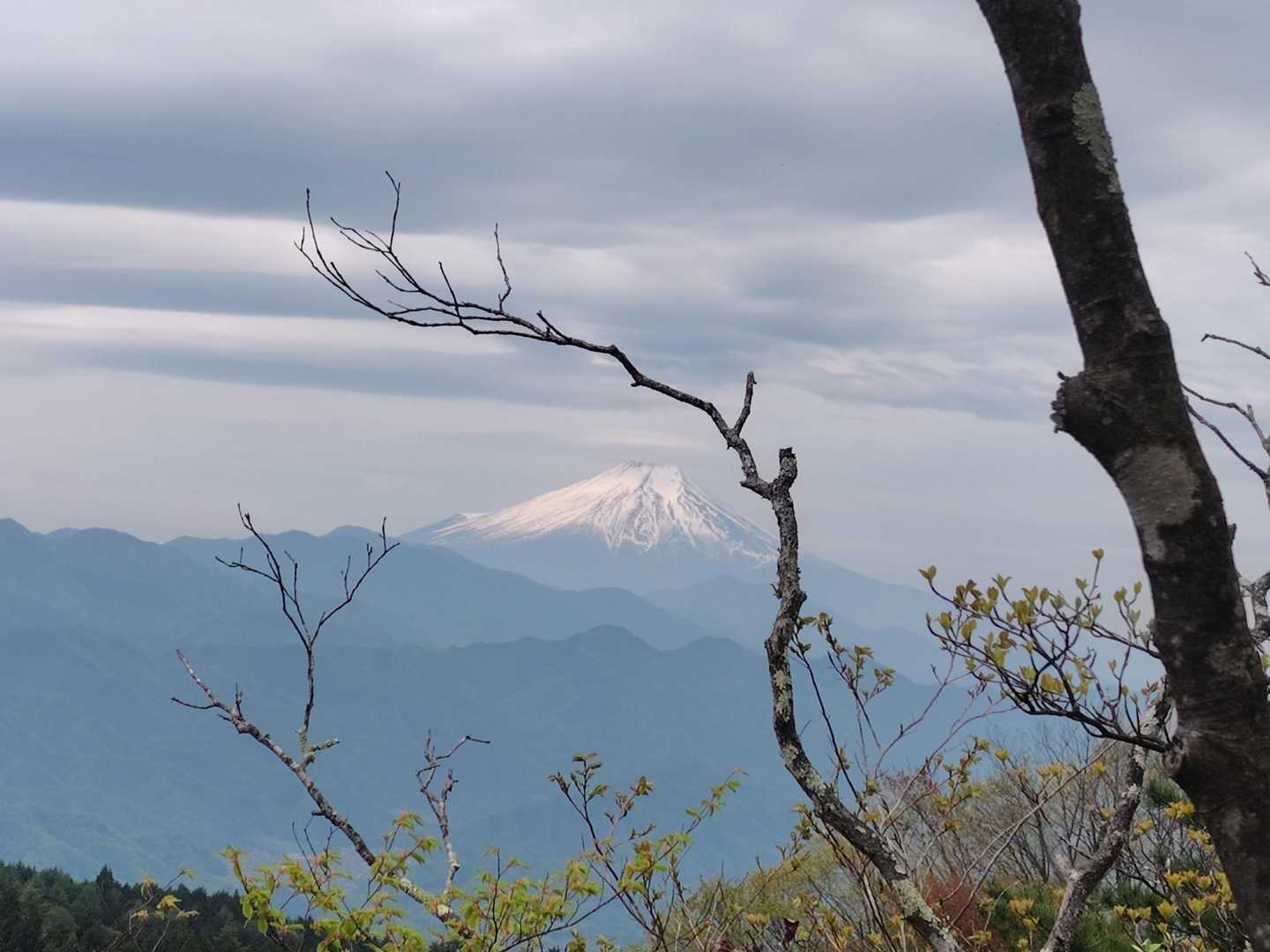 生藤山山頂で少し休憩して移動したところに富士山ビューポイントが！🗻