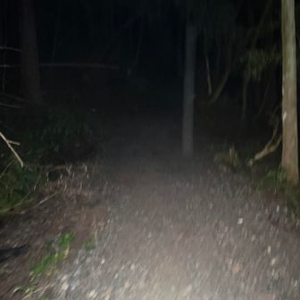 さて登りだし。