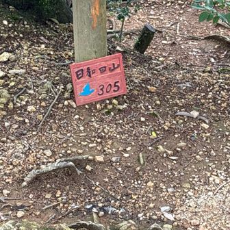 ？
山頂標識には３０２Mと書いてありましたがGoogle先生で調べると３０５Mと出ましてこちらがあってるのかな？