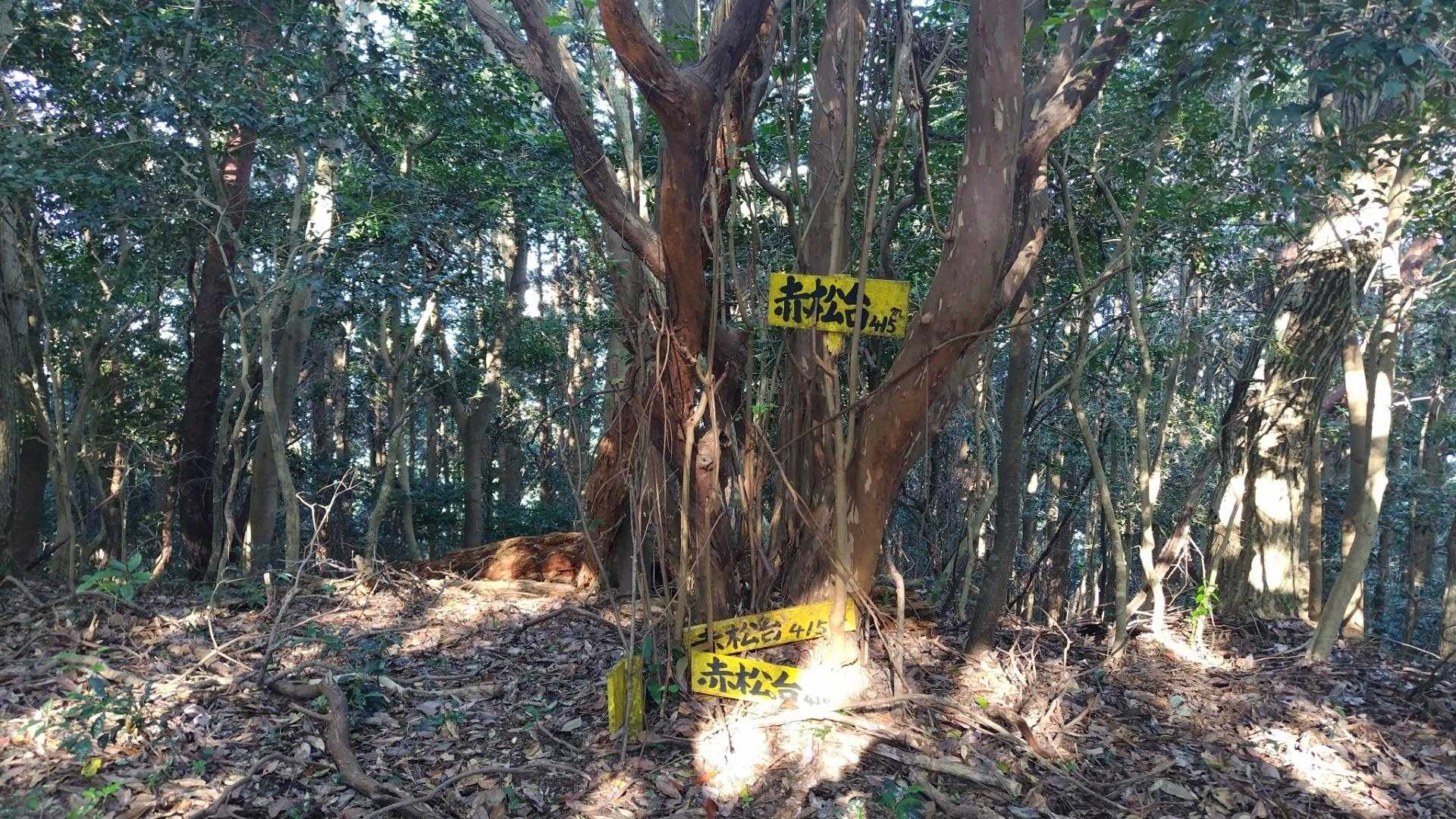赤松台山頂