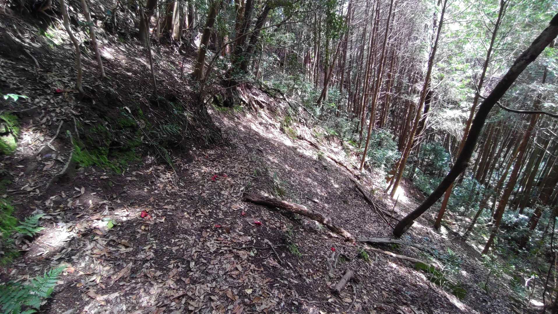 この辺りでルートが分からなくてウロウロしていました。結局斜面を無理やり突っ切りました。