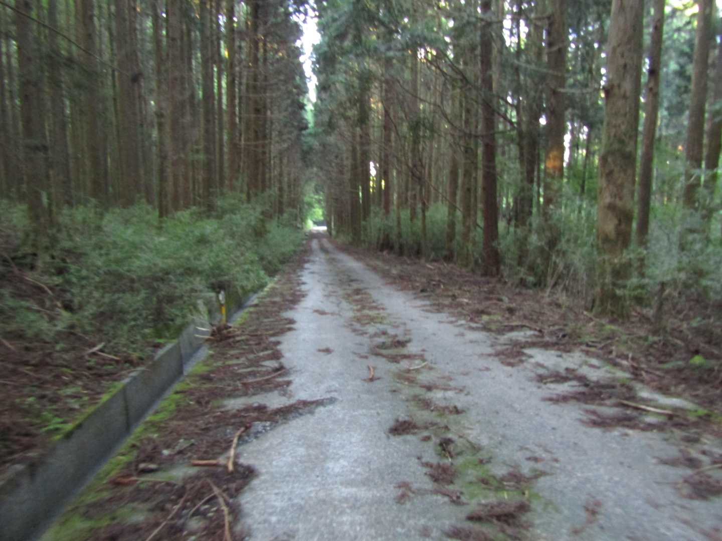 ６名の救助隊員と私と息子の8名で下りてきたのですが道中ほとんど会話はなく黙々と歩きました
もう少しで捜索本部に着くこの辺りは既に真っ暗
その時隊員の方から
県警は報道関係者に報告の義務があるので多分登山口にマスコミがいます
顔が出るのが気になるようでしたらカッパのフードを深く被ってしのいで下さい
と言われました