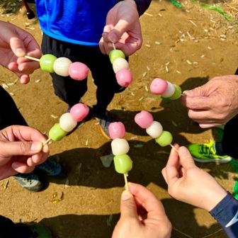 サンタさん持ち込みの三色だんご🍡で