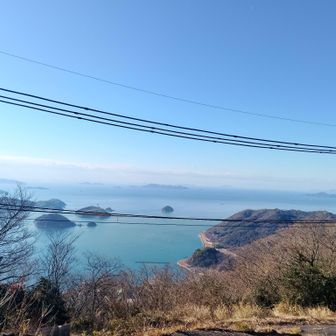 見てきたレポではこの山頂だけが縦走路唯一の眺望スポットと書かれていたのでナイスビューをしっかり目に焼きつけました👁️‍🗨️

しかし電線、邪魔じゃなあ…👿