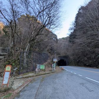 「河津七滝ループ橋」通って「三筋山」に行くよ～