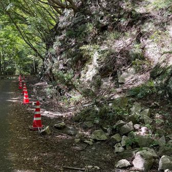 結構な範囲で崩れてました。
今後の降水量によってはこれより酷くならないか気になります(´･ω･`)