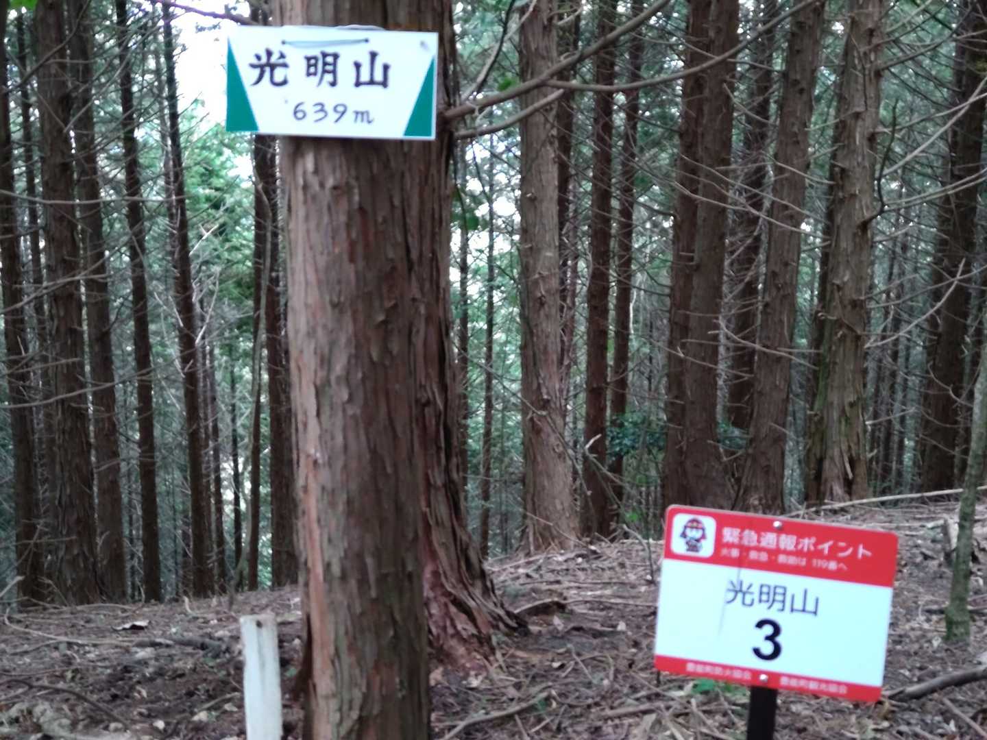 眺望ナシ！
このあと道を間違えました😅