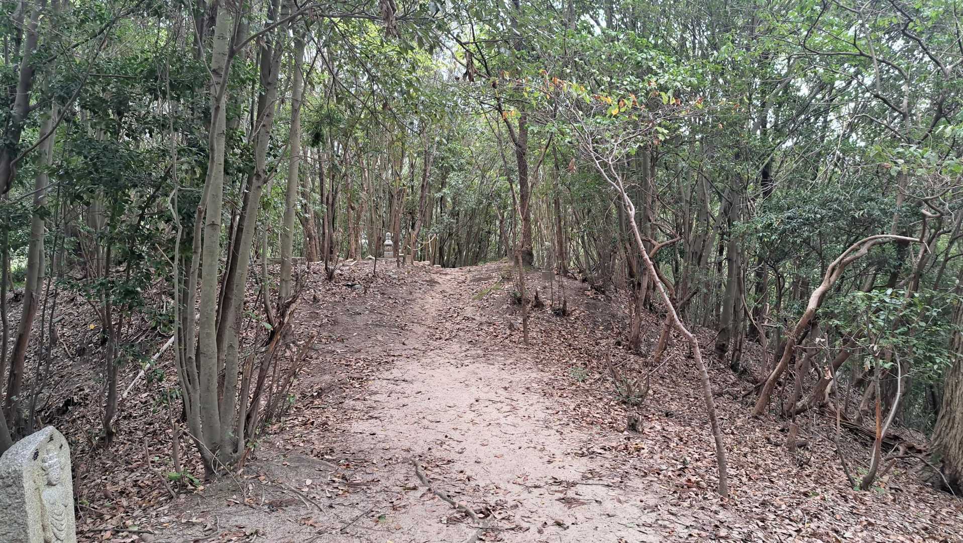 登山道はとてもキレイに整備されていました