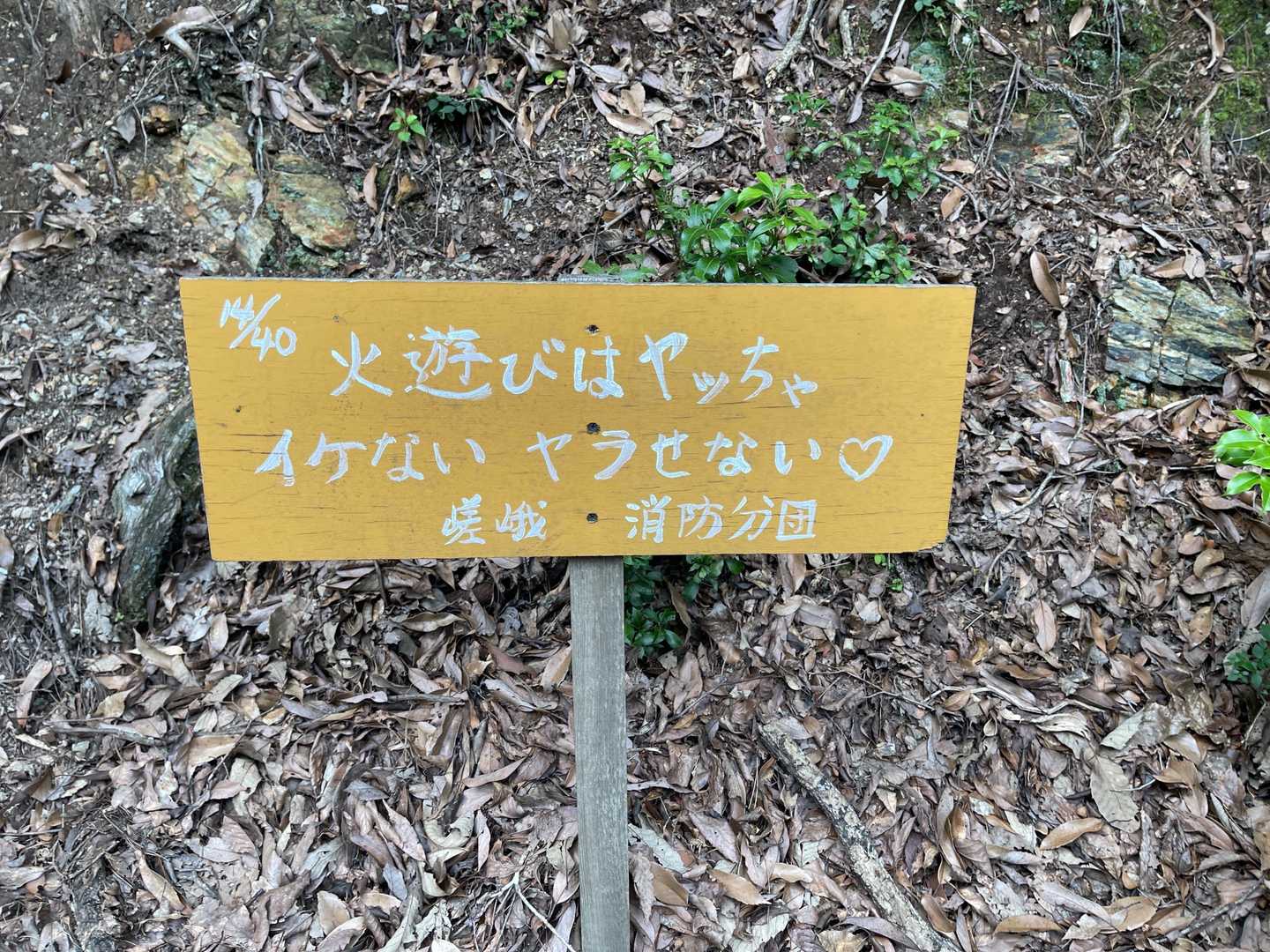 これ40までありますよ〜😂