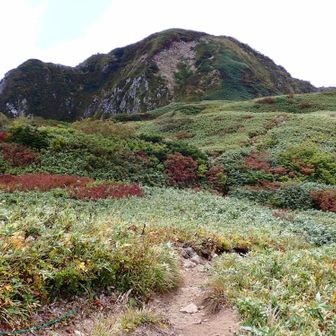 やっと雨飾高原からの登山道と合流する笹平に到着！
突然現れたため、ここで休憩してたおじさん(この日はじめて会った人間！)にギョッとされる🤣