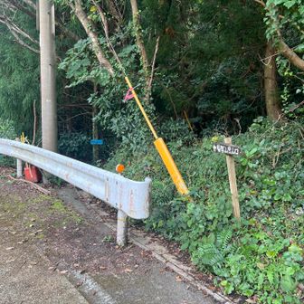 ここから登ります