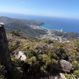 もう9号目。樹林帯ではないので、ずっと直射日光浴び続けます。帽子など日焼け対策必須🧢