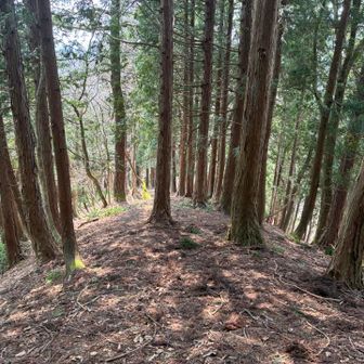 東床尾山も激下りです