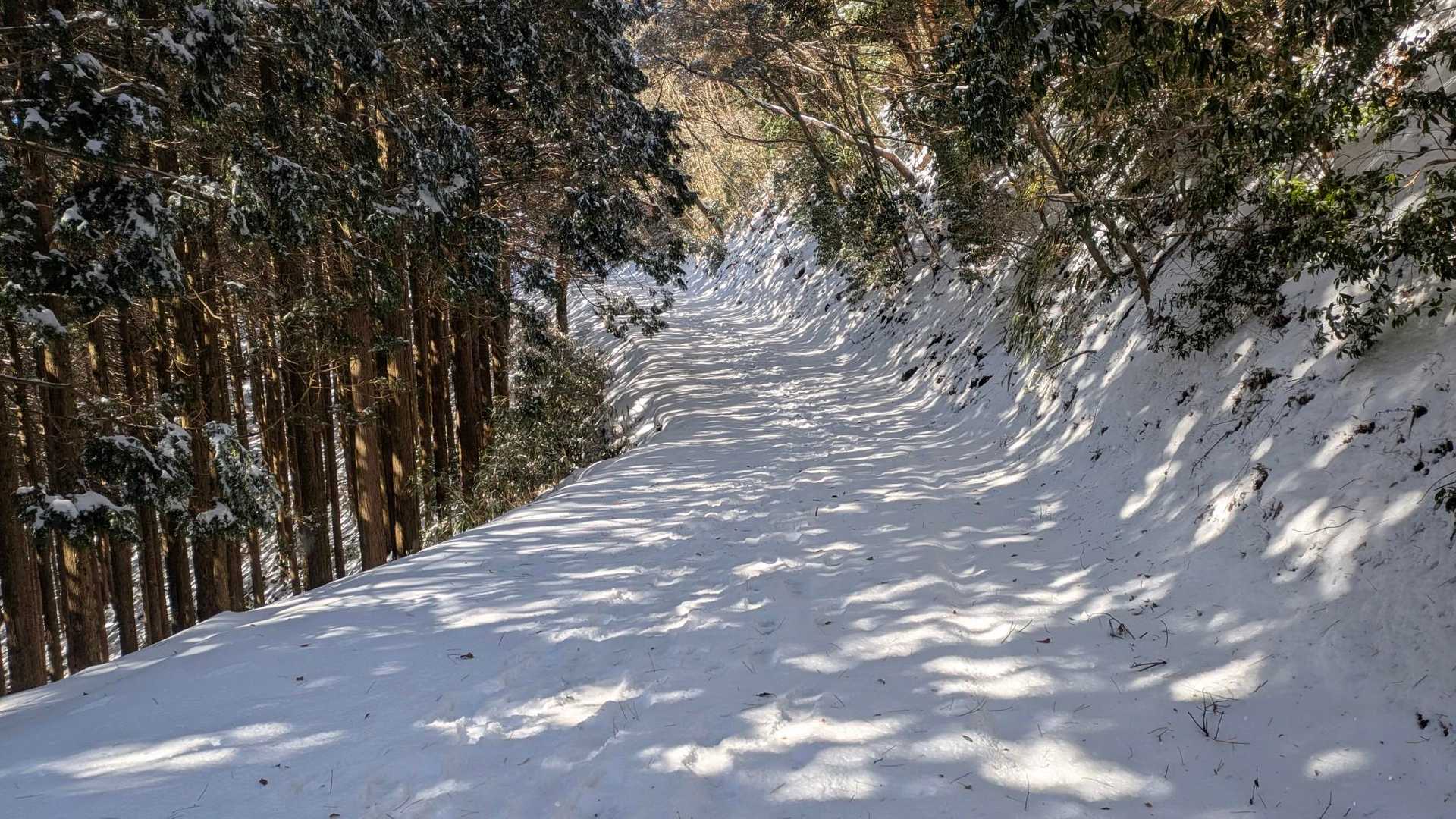 石段に向かいます