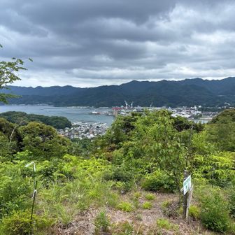 臼杵の街が良く見える