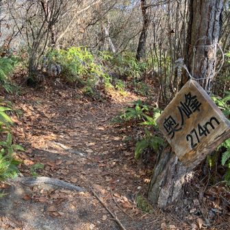 温泉ルートに合流すると、ほどなく奥ノ峰