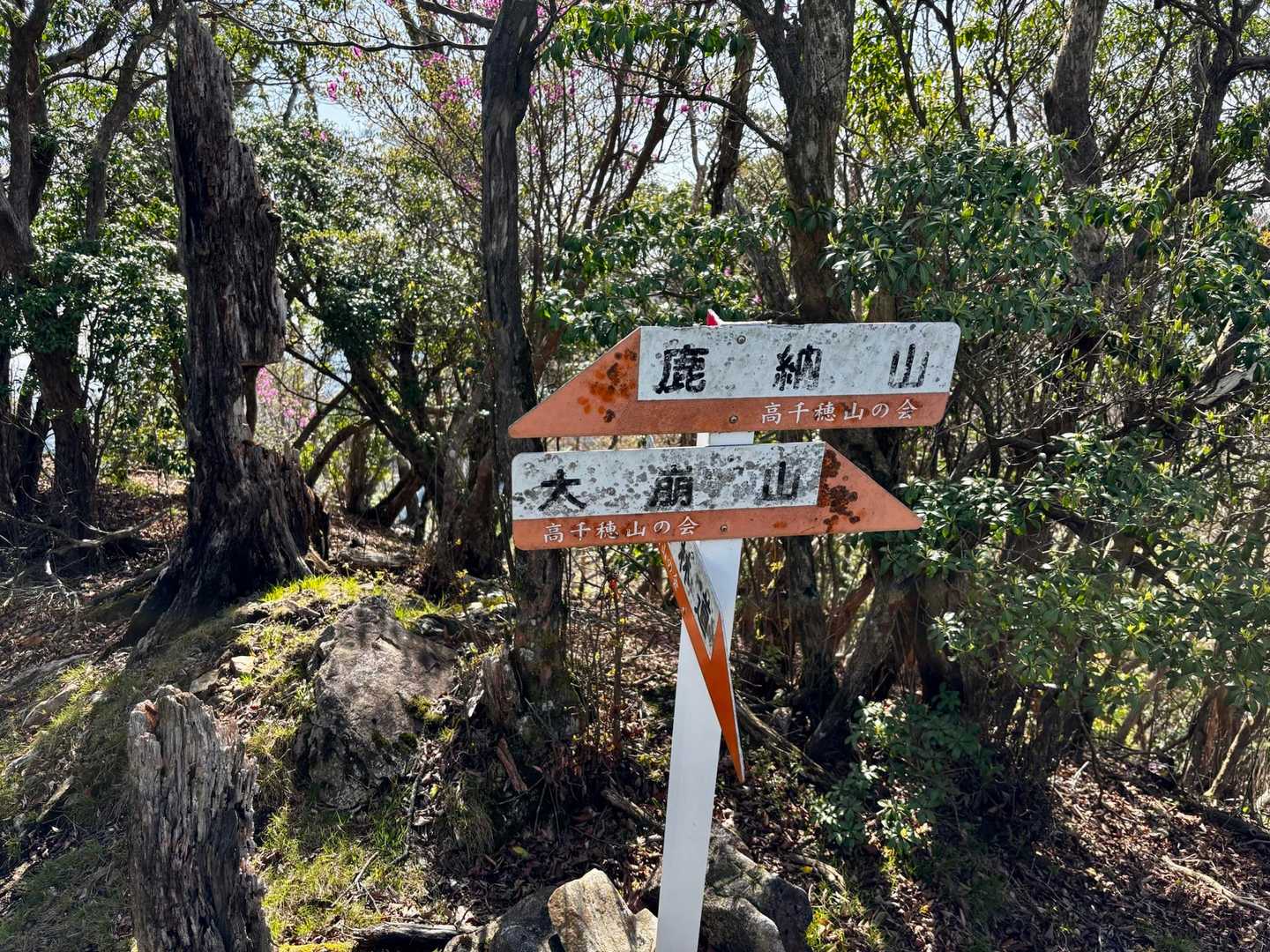 稜線に到着