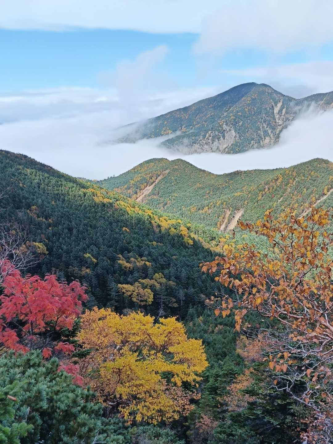 振り返る　今回1番の美しさ