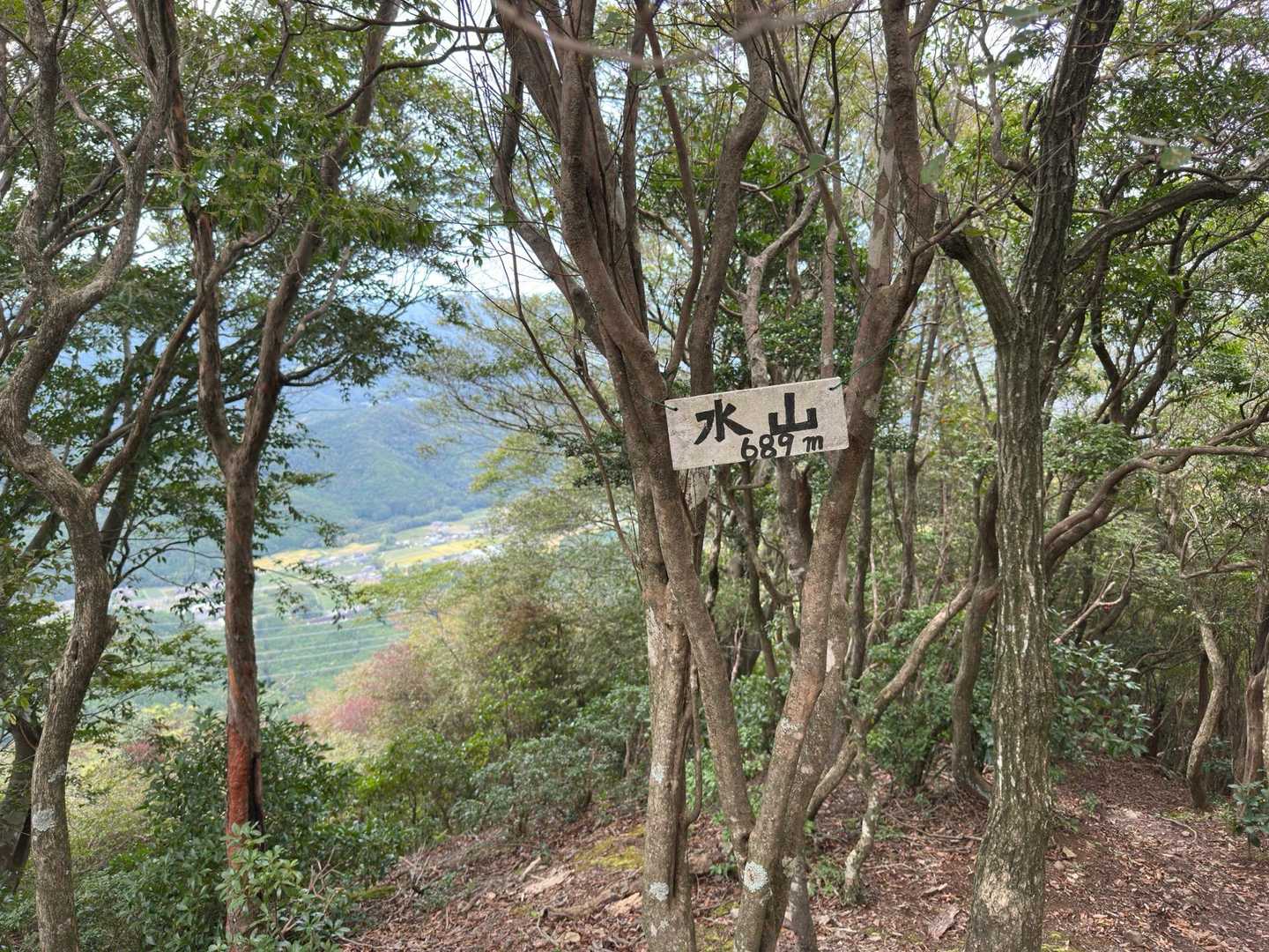 木山