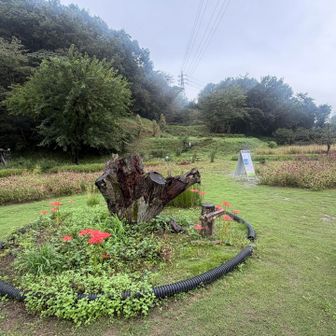 登山口も愛されてます❣️