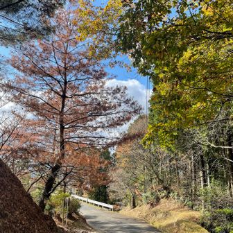 帰りは晴れてきた☀️
