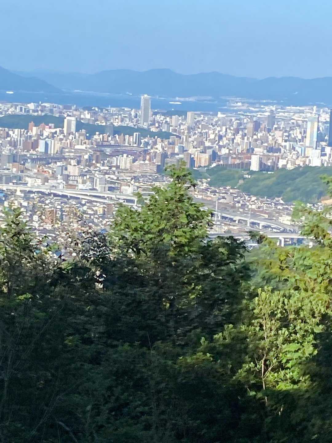 東家からの景色