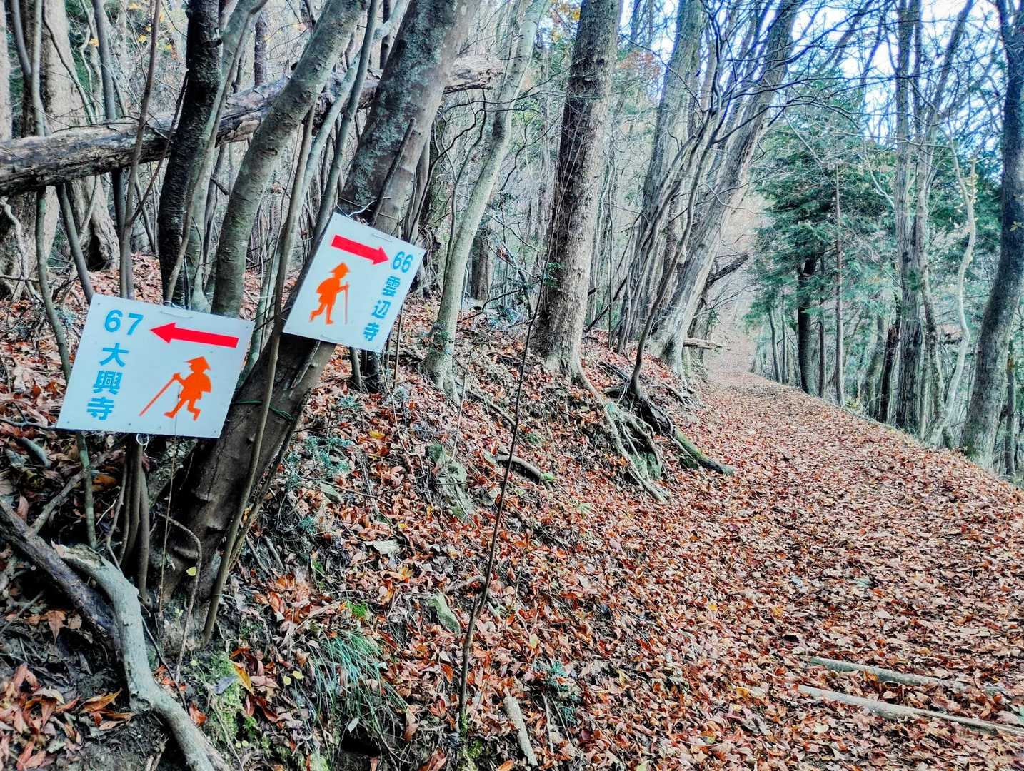 雲辺寺方向へ🚶‍♀