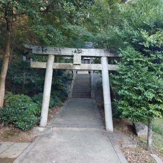 蜂穴神社⛩️