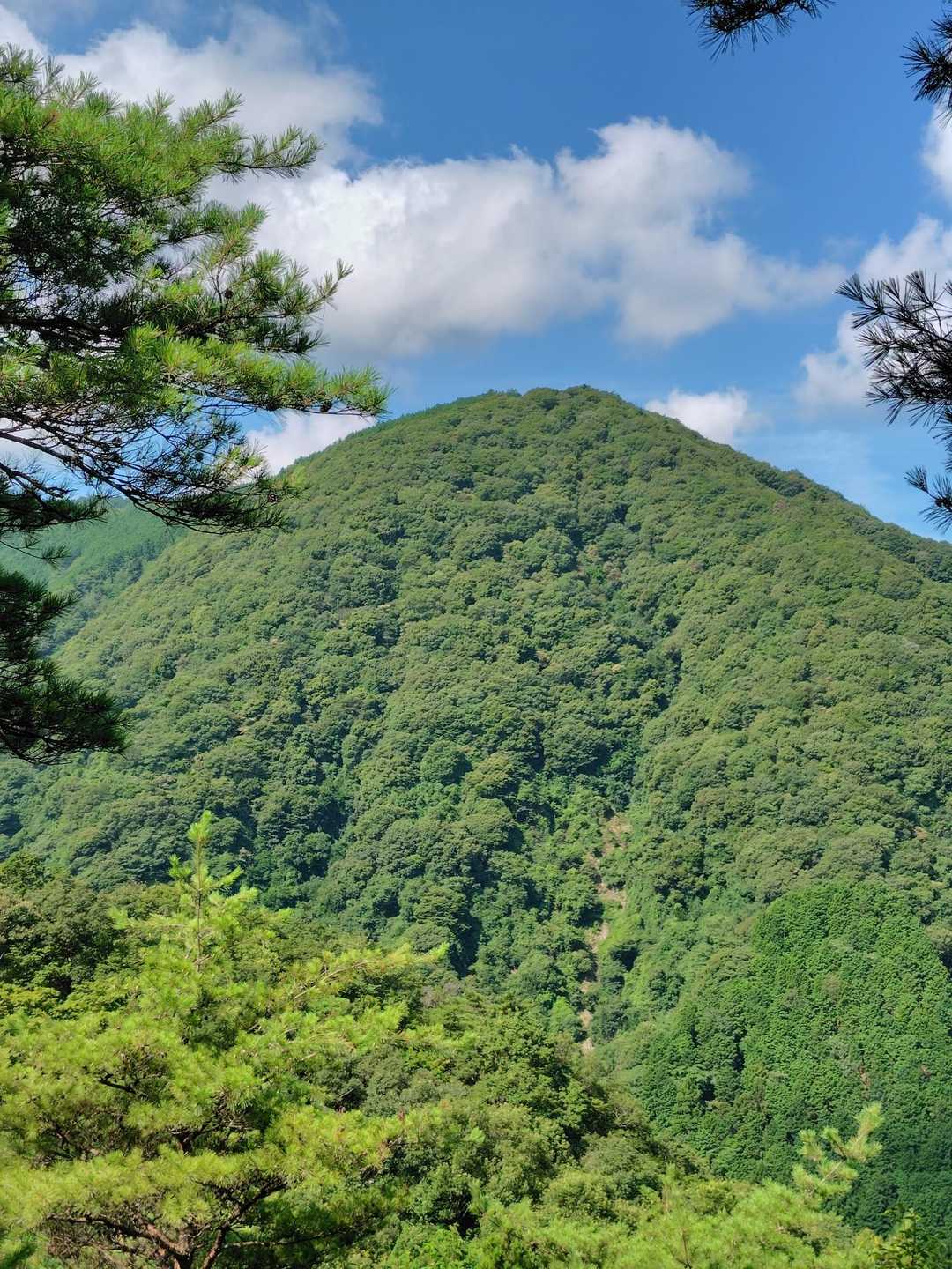 飯盛山、おにぎり山?