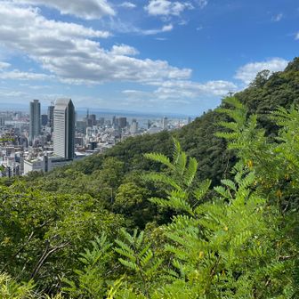 展望台