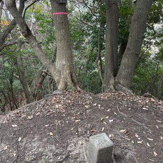 二つ目グレーピーク。道は不明瞭でした