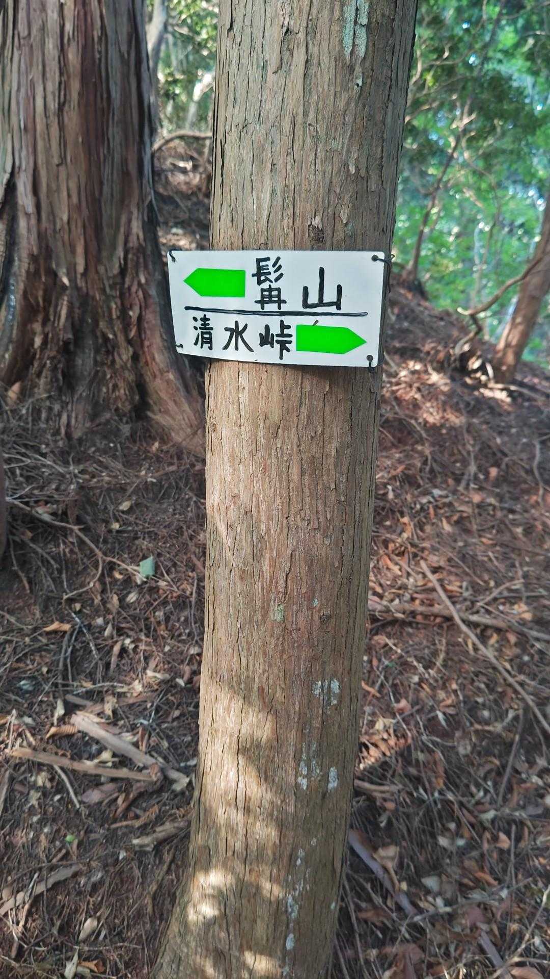 清水峠-髯山 往復コースの写真