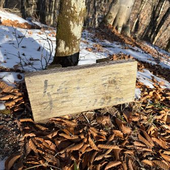 雑木の頭1140M
手前に南峰というピークがあったみたいですが、見逃しました💦