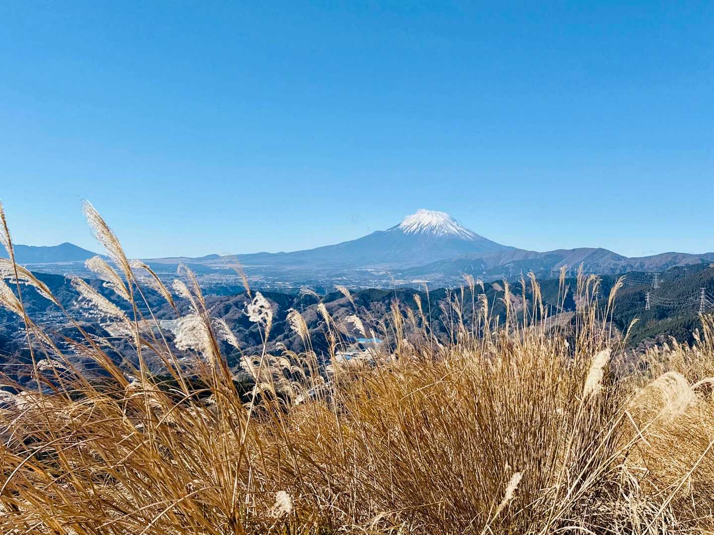 ずっと富士山といっしょ
(っ’ヮ’c)ｻｲｺｰ!!