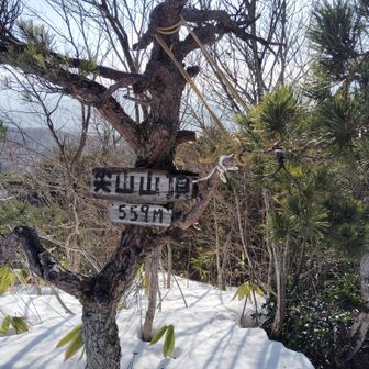 骨折ならぬ枝折。
今日常連さん達にロープで手厚い介抱受けました。
