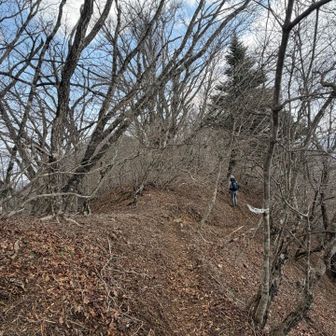 まずは右に歩いて鹿留山へ
なだらかな道でシアワセ🙌