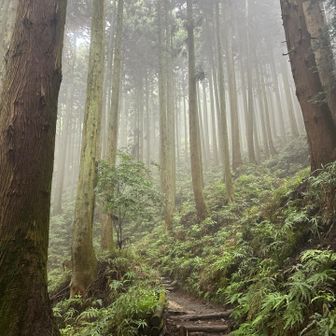 一面真っ白で
今日は景色は期待できません