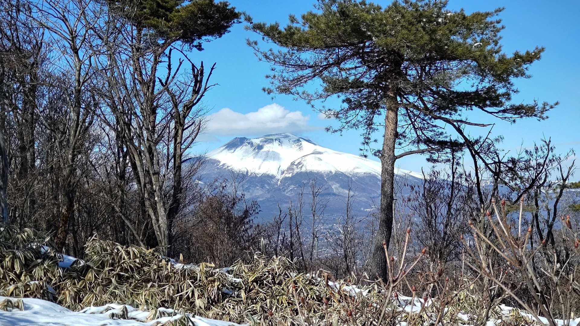 八風山に到着しました。
浅間山が見えます。