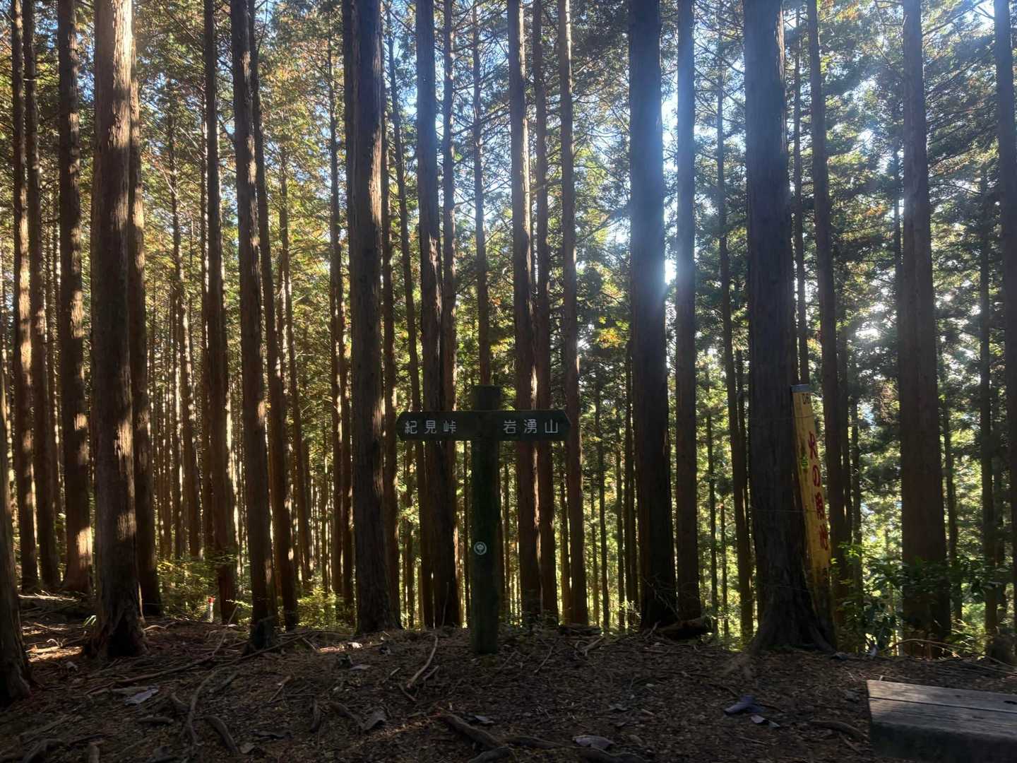 岩湧寺-いわわきの道・きゅうざかの道入口-岩湧山 往復コースの写真