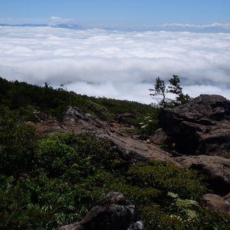 西側の雲海。吾妻連峰だけシルエット見えて
