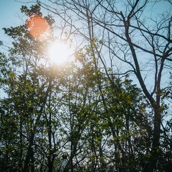 震災のニュース観たり
昔の曲を聴きながら歩いてるからか、
今日はやたらと昔の事を思い出すな